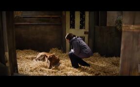 Dream Horse Trailer - Movie trailer - VIDEOTIME.COM