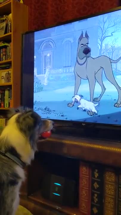 Dog Just Enjoying A Scooby Doo Movie!