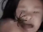 An Arachnophobe's Worst Nightmare