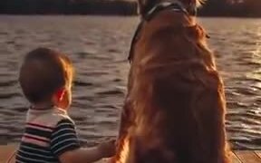 Dogs Are Nothing But Pure Happiness And Love! - Animals - VIDEOTIME.COM