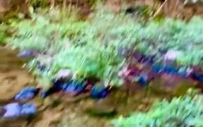 The Butterfly Falls In Belize Is Nature's Beauty - Fun - VIDEOTIME.COM