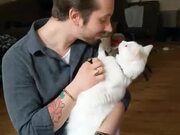Cat Doesn't Appreciate Man's Advances! - Animals - Y8.COM