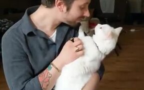 Cat Doesn't Appreciate Man's Advances! - Animals - VIDEOTIME.COM