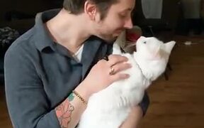 Cat Doesn't Appreciate Man's Advances! - Animals - VIDEOTIME.COM