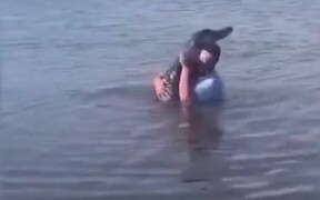 Man's Best Friend Is An Alligator! - Animals - VIDEOTIME.COM