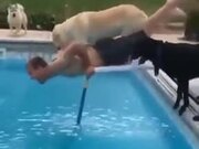 Dog And Guy Jumping Into The Pool!