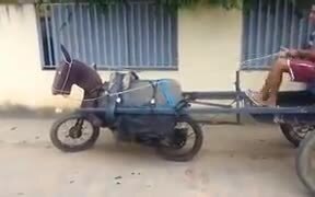 When You Love The Horse, But Horse Is Expensive! - Fun - VIDEOTIME.COM
