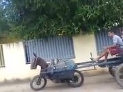 When You Love The Horse, But Horse Is Expensive!