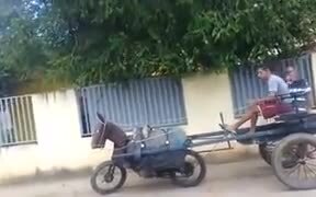 When You Love The Horse, But Horse Is Expensive! - Fun - VIDEOTIME.COM