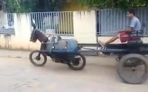 When You Love The Horse, But Horse Is Expensive!