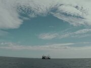 Sea Fever Official Trailer