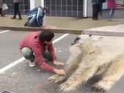 Amazing Street Art Of A Polar Bear!