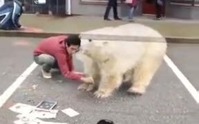 Amazing Street Art Of A Polar Bear! - Fun - VIDEOTIME.COM