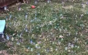 Bubbles On Wet Grass Looks Magical! - Fun - VIDEOTIME.COM
