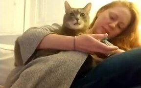 This Is The Most Civil Cat In Existence - Animals - VIDEOTIME.COM