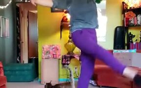 When You Want To Dance, Just Call In Your Cat - Fun - VIDEOTIME.COM