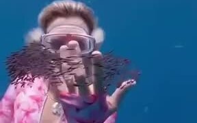 Playing With An Entire Shoal Of Fishes! - Fun - VIDEOTIME.COM