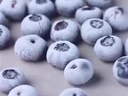 Defrosting Berries Time Lapse Clip
