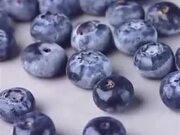 Defrosting Berries Time Lapse Clip