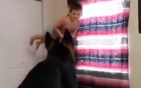 Playing With The Dog And Kid! - Fun - VIDEOTIME.COM