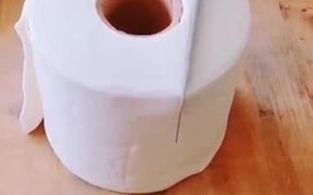 The Ultimate Toilet Paper Cake!