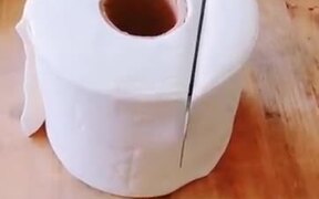 The Ultimate Toilet Paper Cake! - Fun - VIDEOTIME.COM