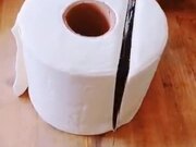 The Ultimate Toilet Paper Cake!
