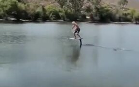 A Hydrofoil Kite Boarder In Action - Sports - VIDEOTIME.COM