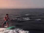 Surfer And A Pod Of Dolphins Swim Together!