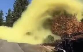 This Is What Pine Pollen Looks Like - Fun - VIDEOTIME.COM