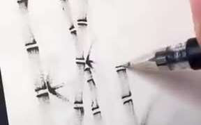 Struggling To Draw Bamboo? - Fun - VIDEOTIME.COM