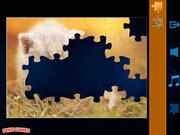 Jigsaw Puzzles Classic Walkthrough