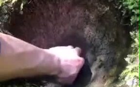 Cute Small Well On The Ground - Fun - VIDEOTIME.COM