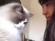 When Your Cat Doesn't Like You