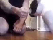 Tricking Your Dog With Magic