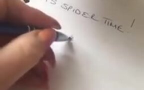 A Spider Killer Cat - Animals - VIDEOTIME.COM