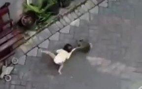 Unexpected Monkey Attack - Animals - VIDEOTIME.COM
