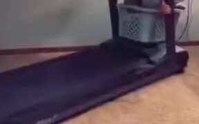 A Fun Treadmill Experiment - Fun - VIDEOTIME.COM