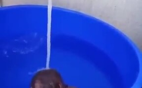 Baby Orangutan Relaxing In The Bath - Animals - VIDEOTIME.COM
