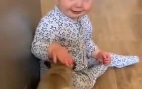 The Combination Of A Human Baby And Puppies - Animals - VIDEOTIME.COM