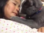 Kitty Comforting Little Crying Girl
