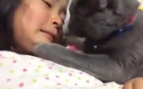Kitty Comforting Little Crying Girl - Animals - VIDEOTIME.COM