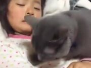 Kitty Comforting Little Crying Girl