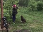 Dog And Owner Having Fun With A Balloon