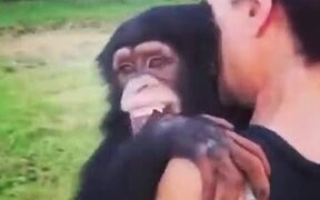 A Reason To Raise A Chimp - Animals - VIDEOTIME.COM