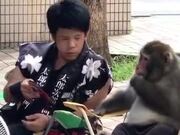 Monkey Sharing Secrets With A Human