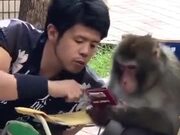 Monkey Sharing Secrets With A Human