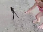 Little Girl Playing With A Frog