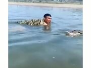 Ducklings Following A Man In Water