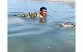 Ducklings Following A Man In Water